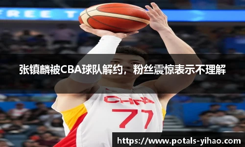 张镇麟被CBA球队解约，粉丝震惊表示不理解