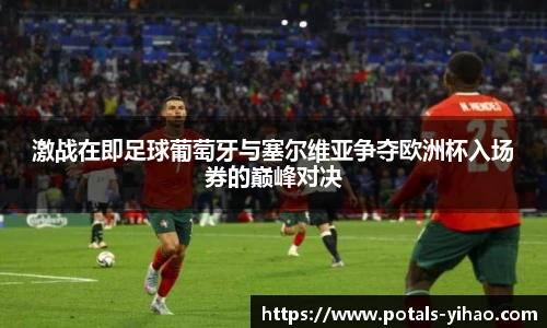 激战在即足球葡萄牙与塞尔维亚争夺欧洲杯入场券的巅峰对决