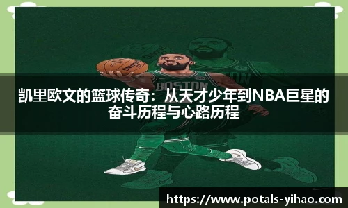 壹号娱乐